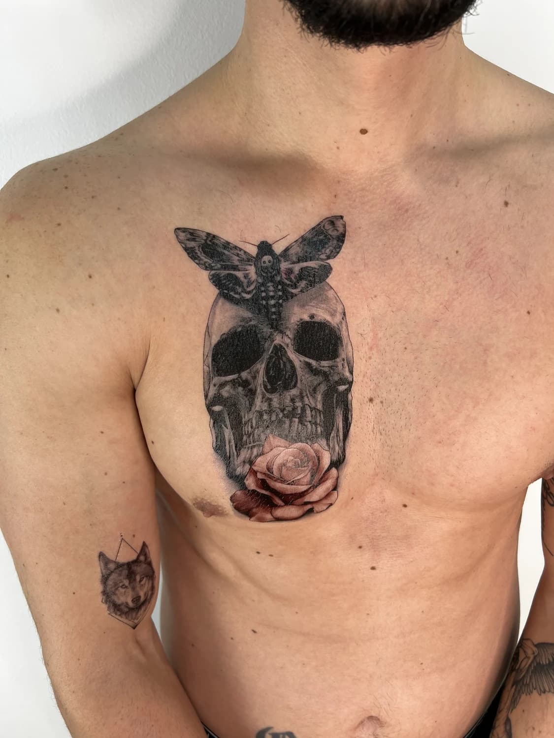 Skull, death-moth and rose chest piece in fine black-and-grey