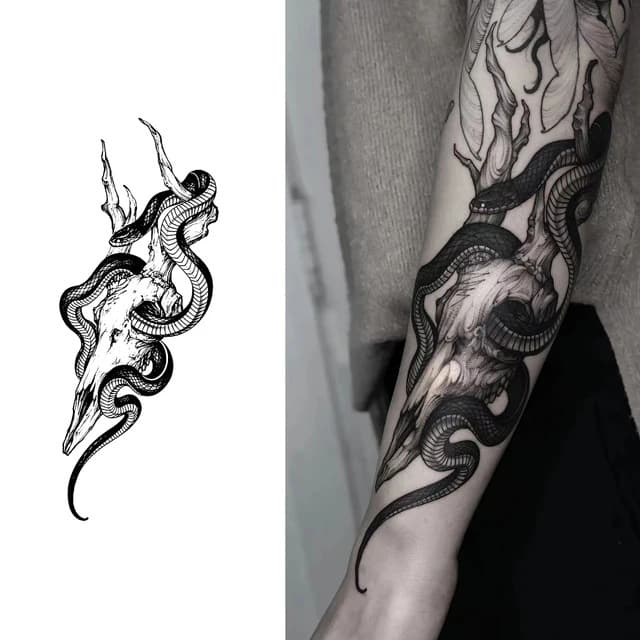 Ram skull and snake — view 1
