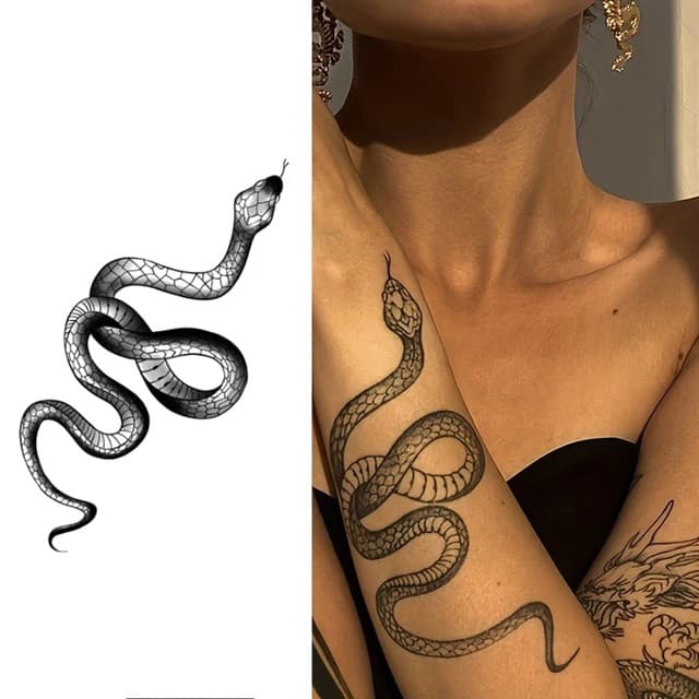 Coiled serpent — view 1