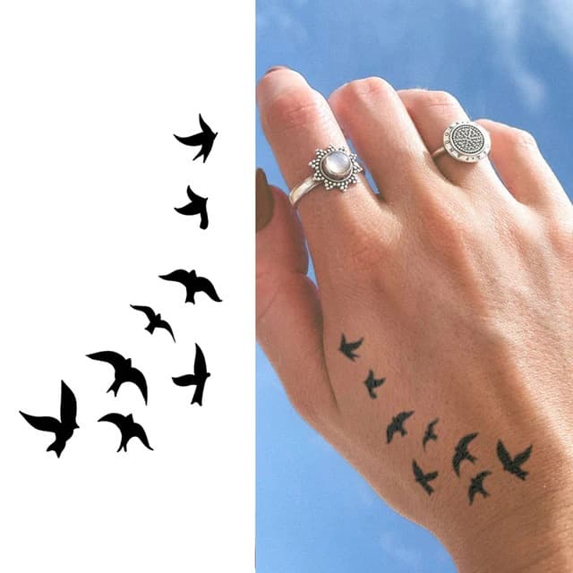 Bird flock — view 1