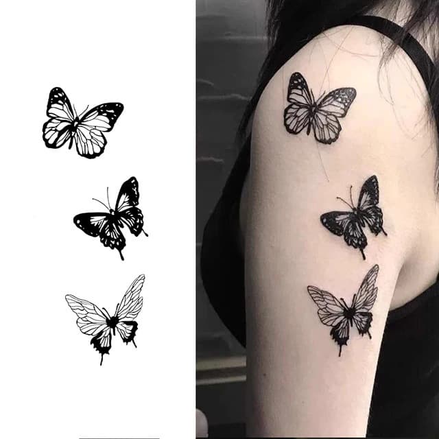 Three monarchs — view 1