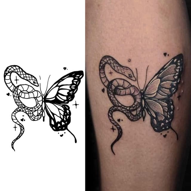 Serpent-wing butterfly — view 1
