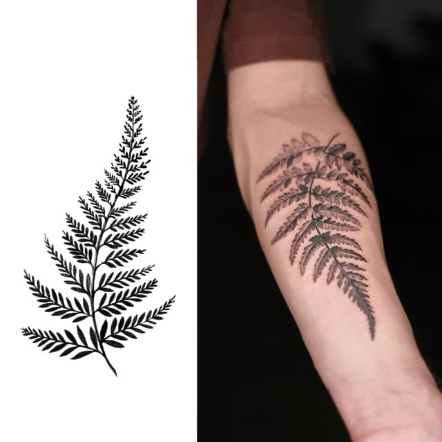 Botanical fern frond
