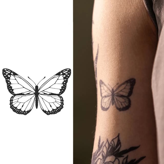 Monarch butterfly — view 1