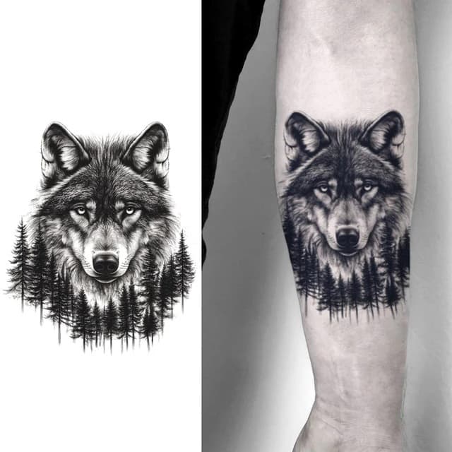 Wolf rising from the pine line — view 1
