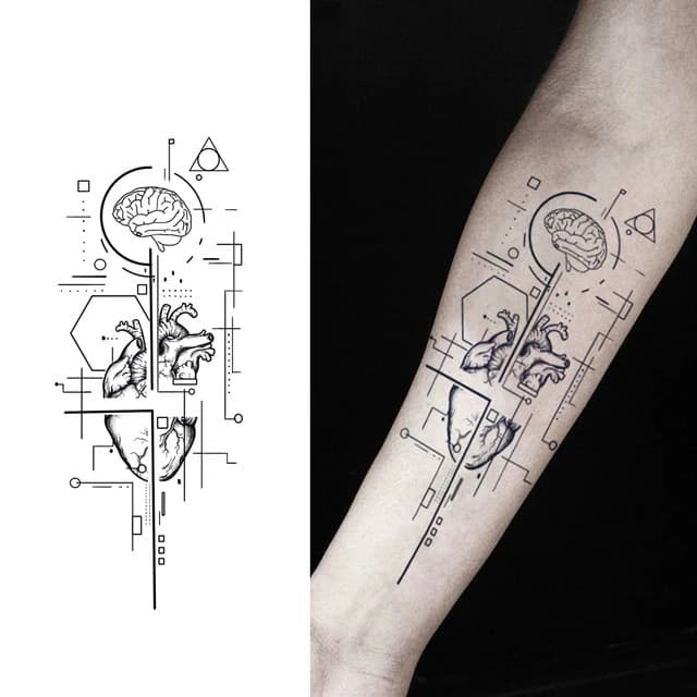 Brain and twin hearts on geometric circuit