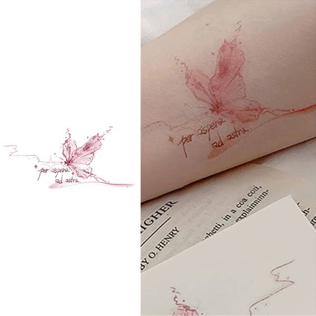 Per aspera ad astra — pink butterfly