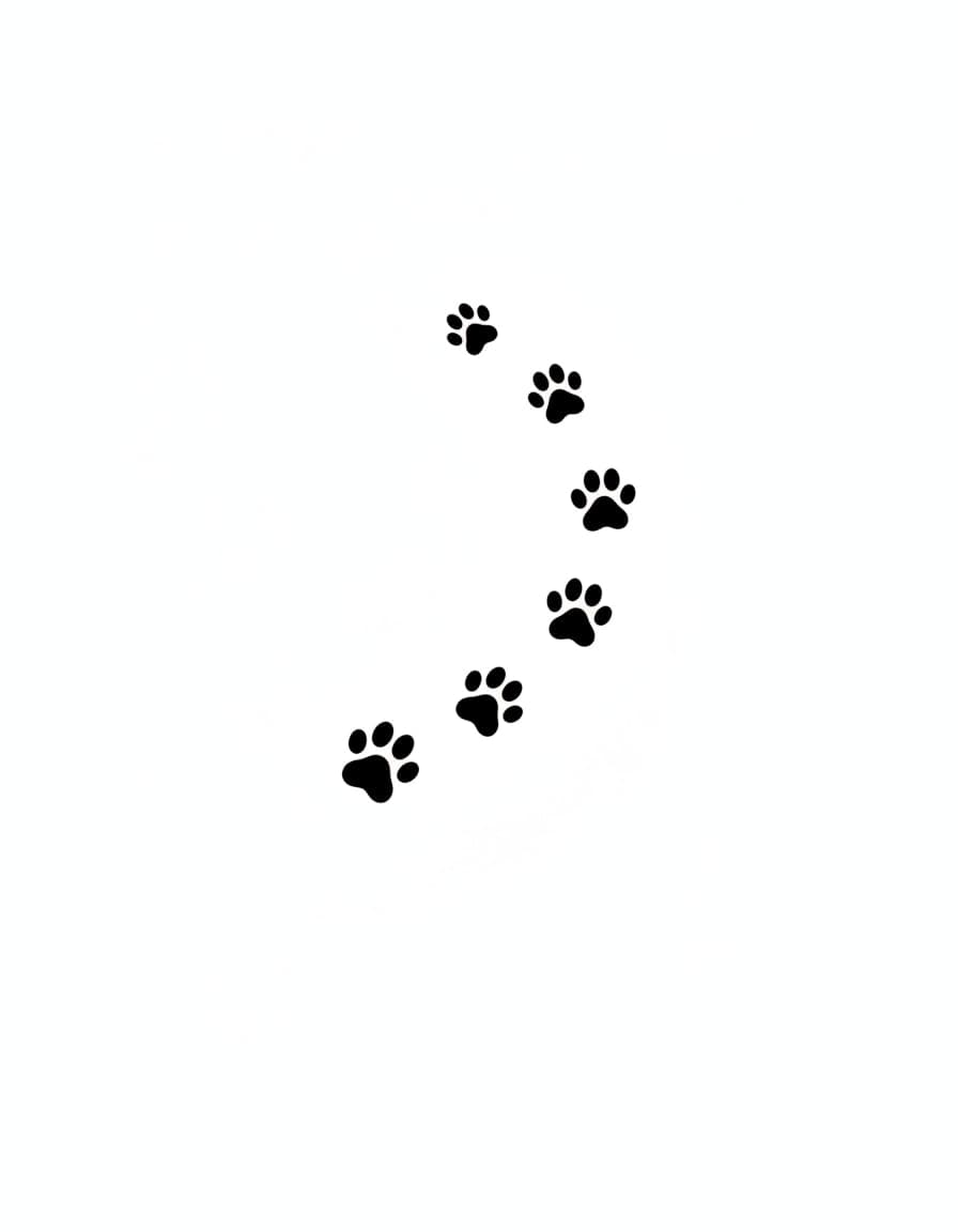 Minimalist Paw Print Trail Temporary Tattoo — view 1