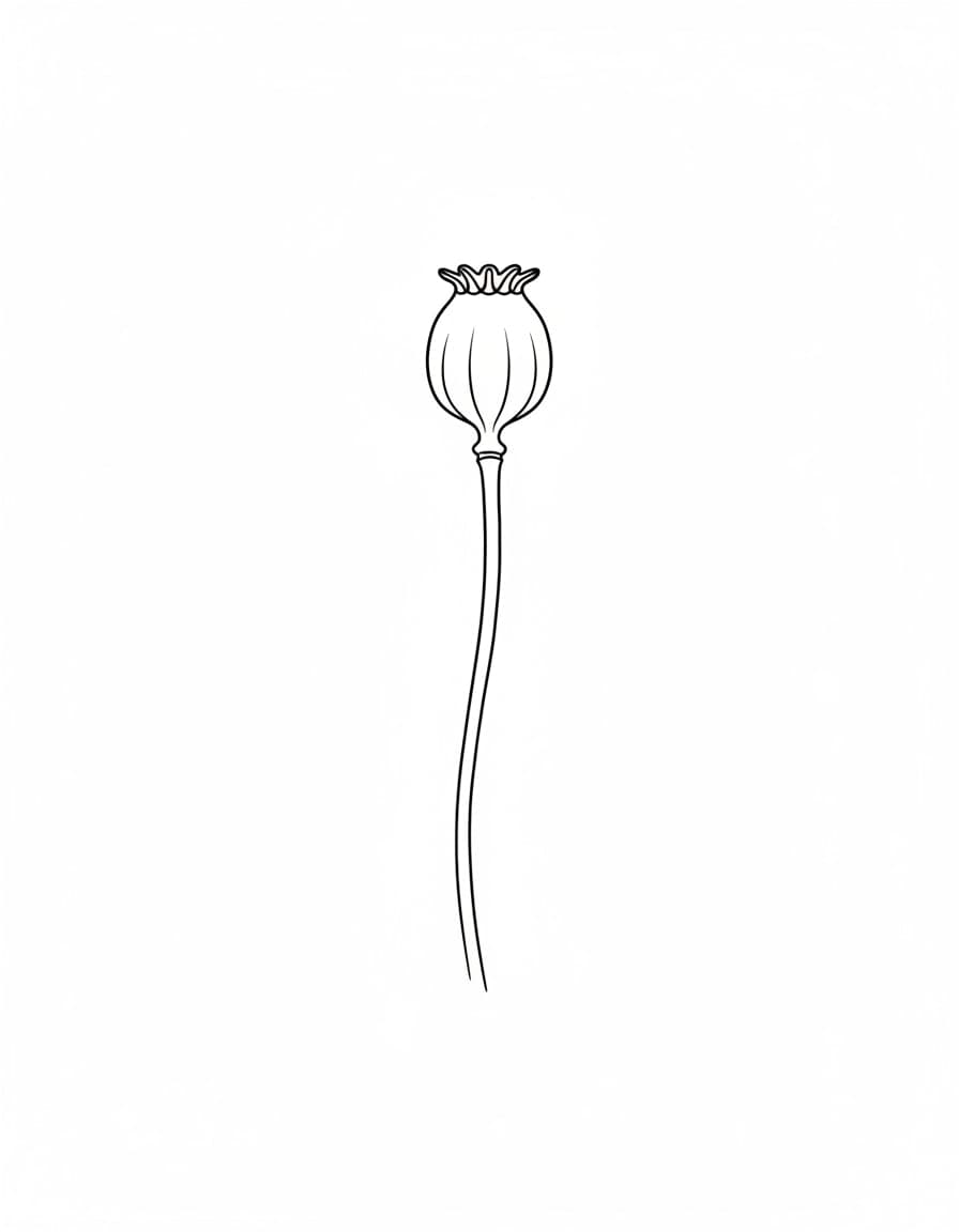 Minimalist Poppy Seed Head Temporary Tattoo — view 1