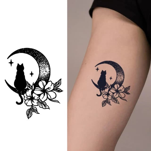 Cat on the moon — view 1