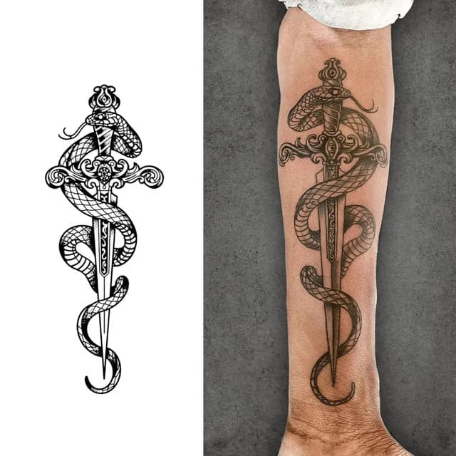 Snake and dagger — view 1