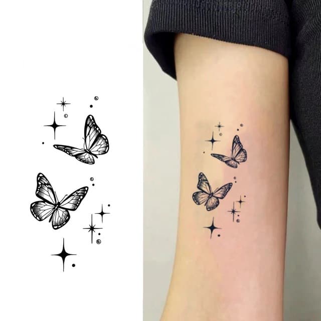 Monarchs and stars — view 1