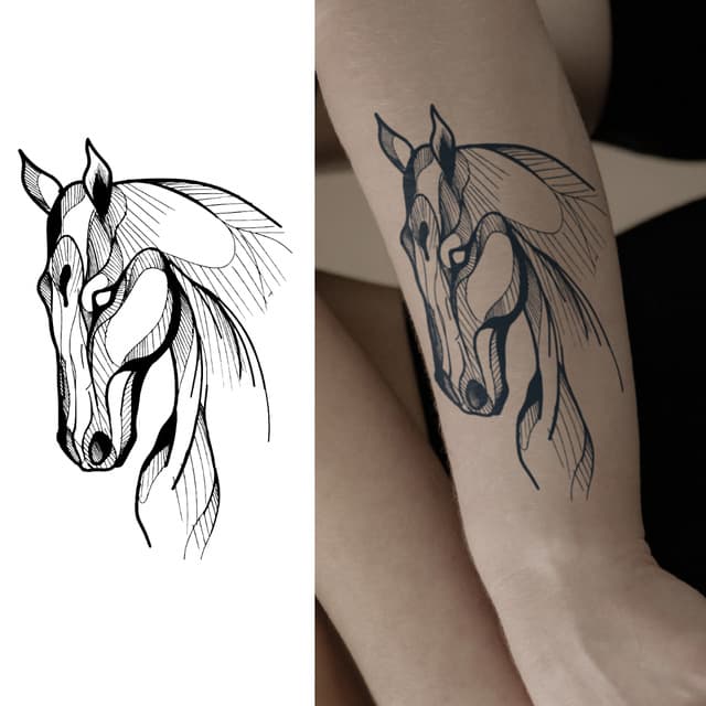 Sketchy horse — view 1