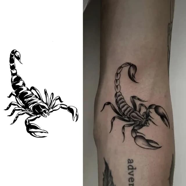 Realist scorpion — view 1