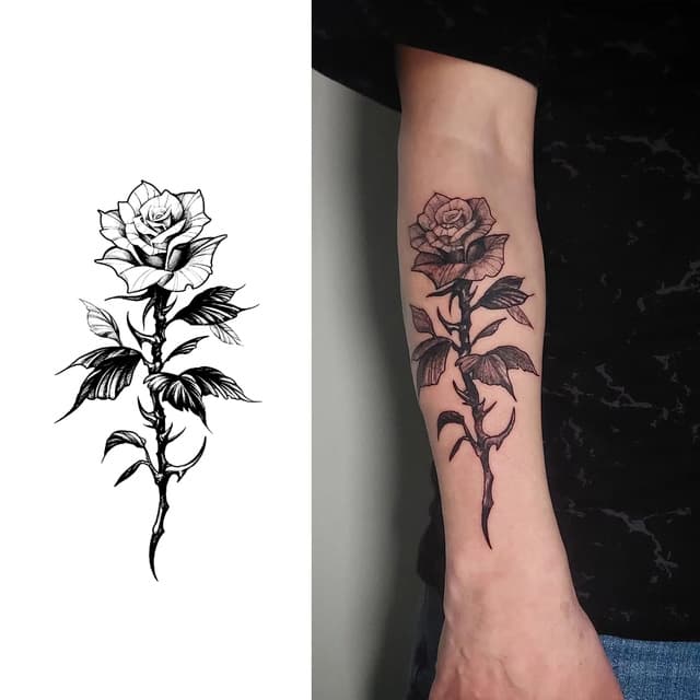 Rose with thorny stem — view 1