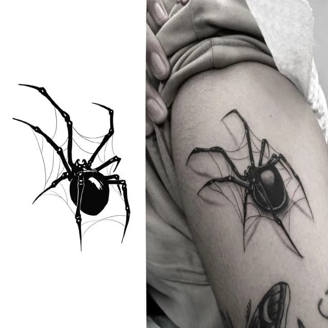 Black widow on web — view 1