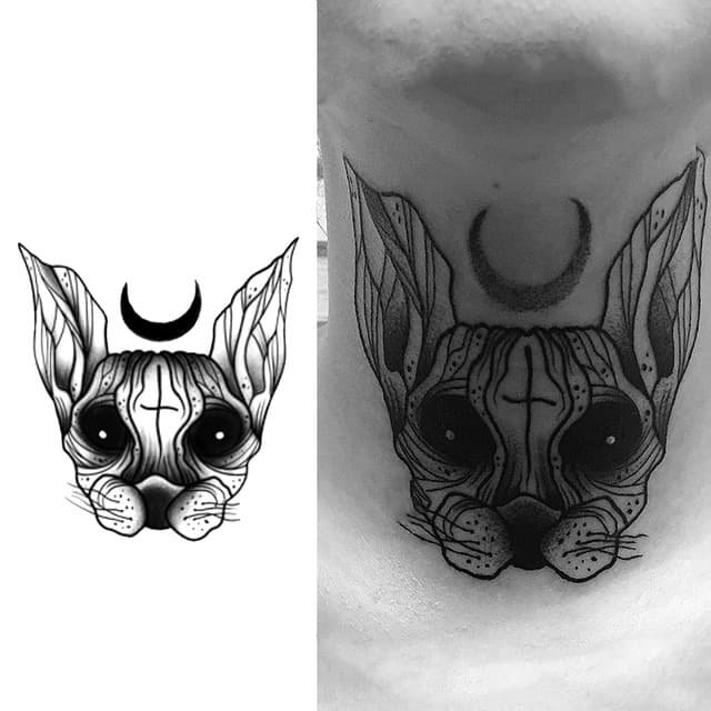 Sphynx cat under the crescent — view 1