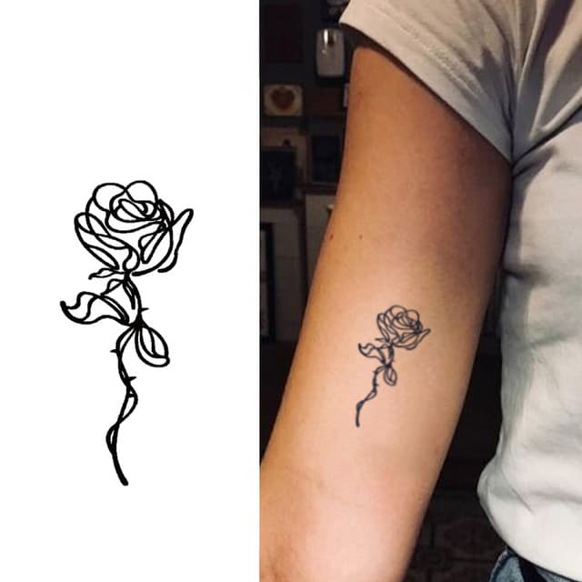 Single-line rose — view 1