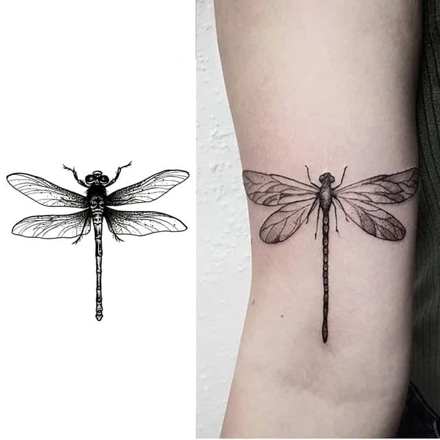 Etched dotwork dragonfly — view 1