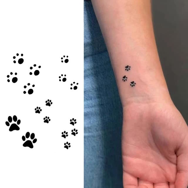 Scattered paw prints trail — view 1