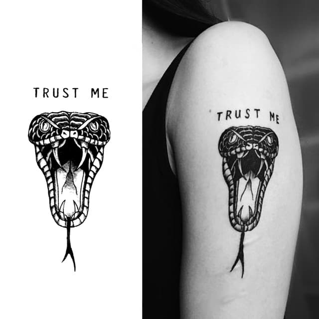 Trust me viper — view 1