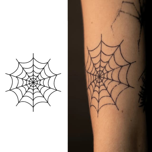 Empty spider web — view 1
