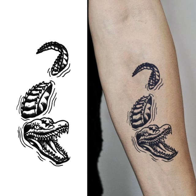 Severed crocodile in three parts — view 1