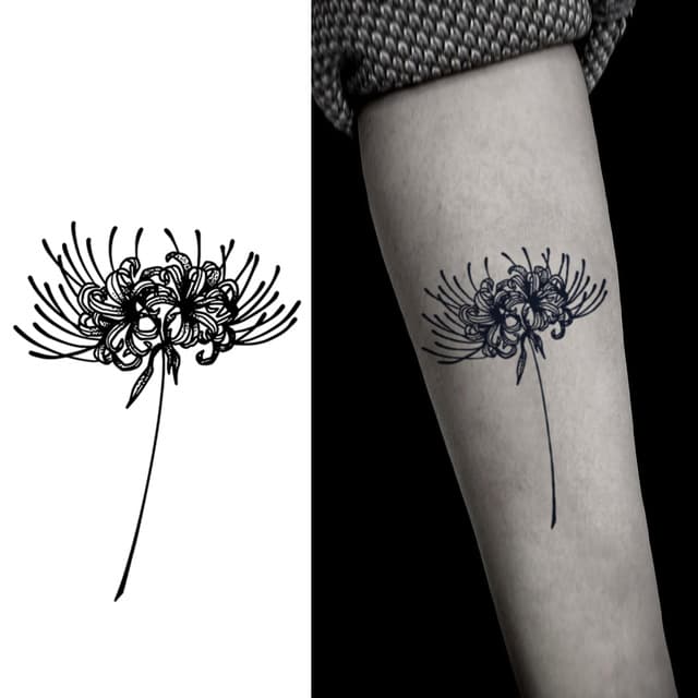 Single spider lily — view 1