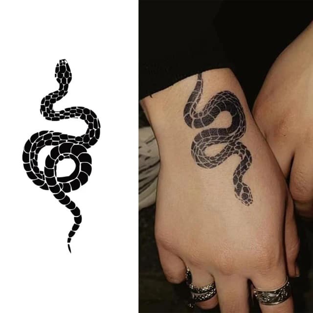 Coiled black serpent — view 1